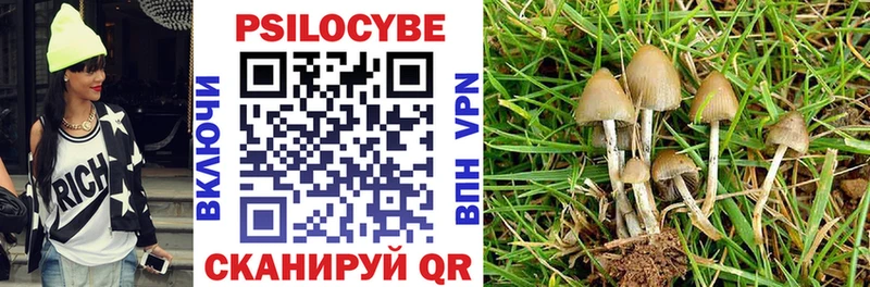 Псилоцибиновые грибы GOLDEN TEACHER  закладки  Апатиты 